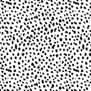 Meet your Posher, Kailey